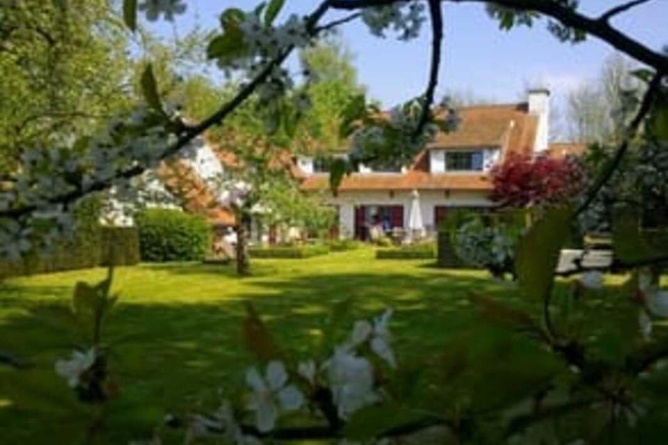 Algemene Tuinwerken Frank Willeghems