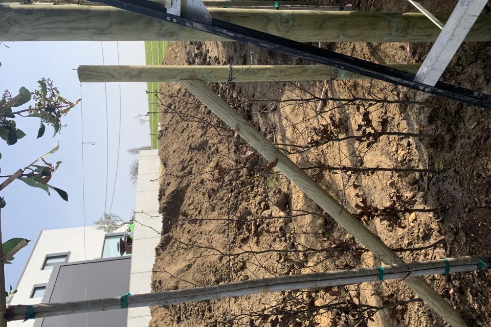 Algemene bouw- & tuinaannemingen Kestens bv