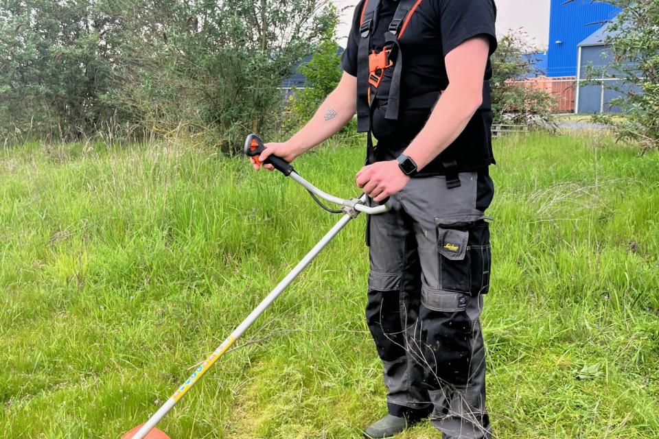 Apibeau