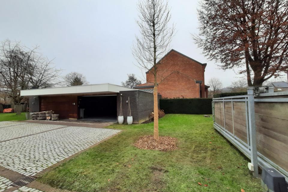 Aanplanten van bomen