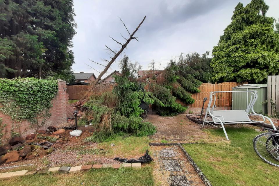 Verwijderen van stormschade
