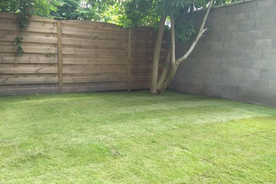 grasmatten
