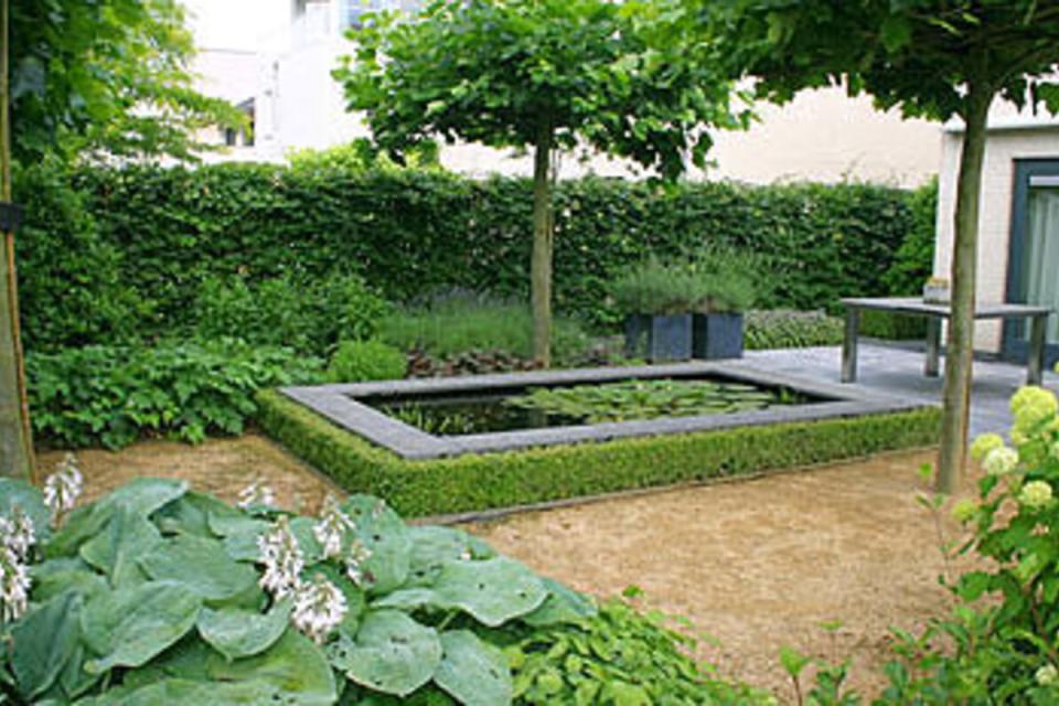 Bloementuin