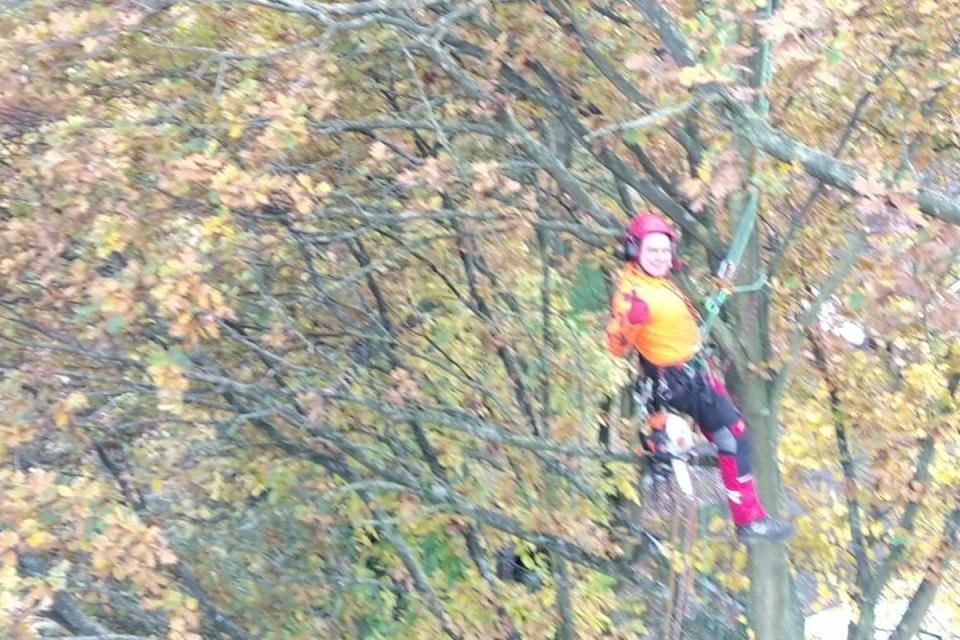 Bomen Maarten