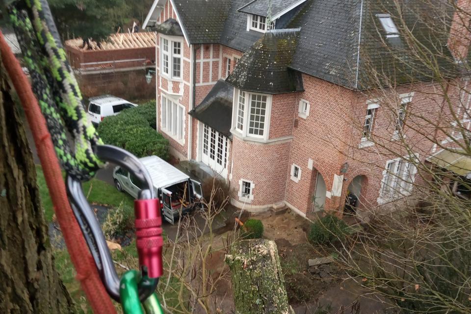 Boomverzorging Flebus