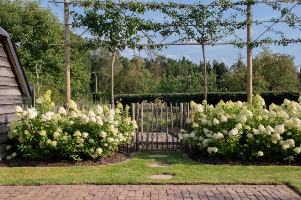 Romantisch pad naar de moestuin