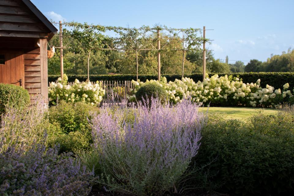 Landelijke tuin vol kleur en bloei