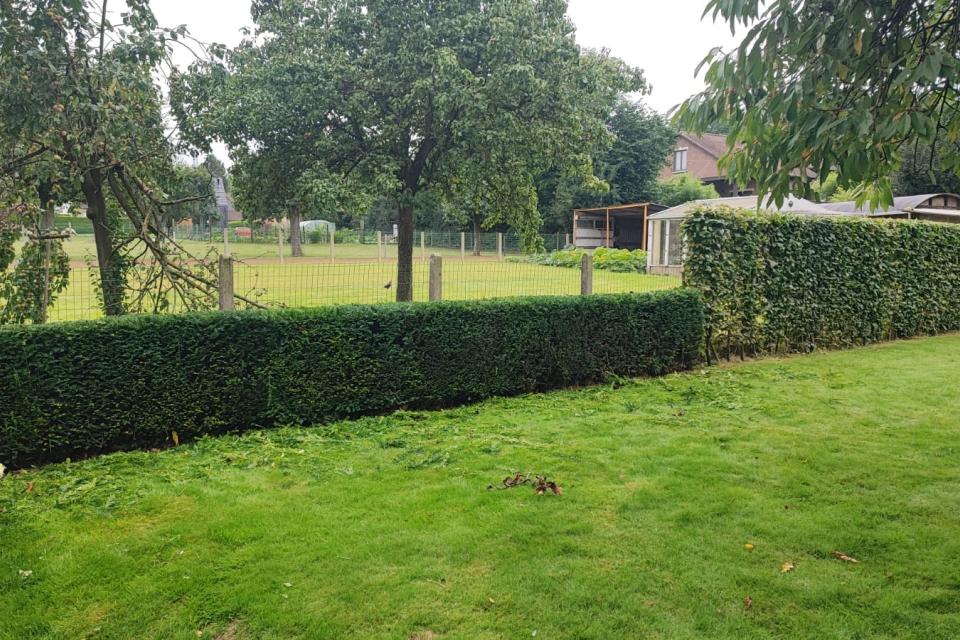 DVA grond- en groenbeheer 