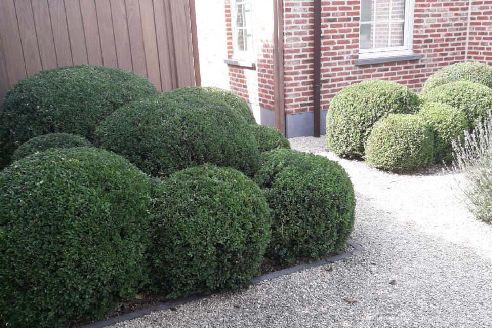 Realisatie_DeBrabanter1.jpg