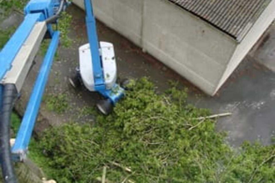 De Kesel Agri & Bomen