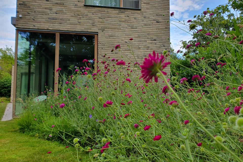 Ecologische tuin Schoten
