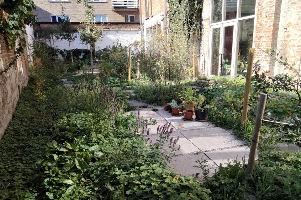 Binnentuin in Gent