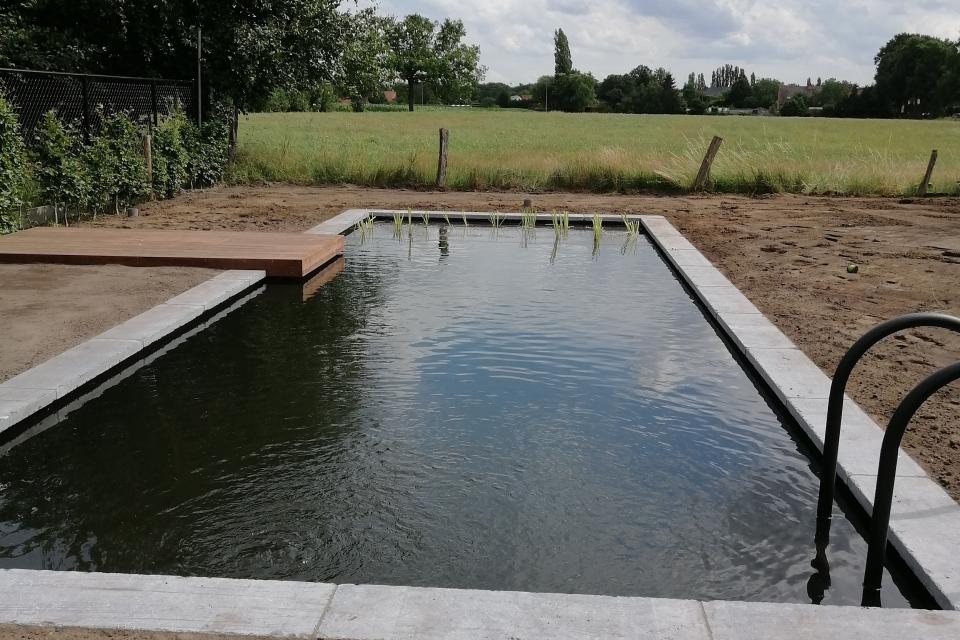 zwemvijver in landelijk gebied