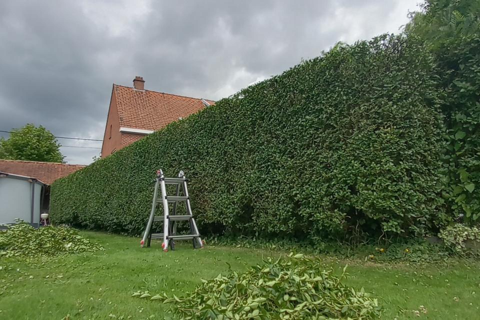 Engelhardt Tuinonderhoud