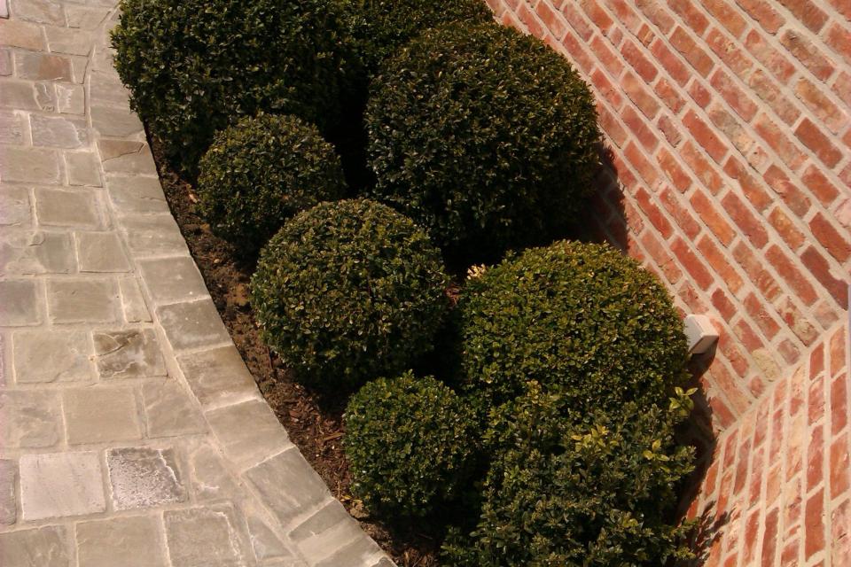 Engelhardt Tuinonderhoud
