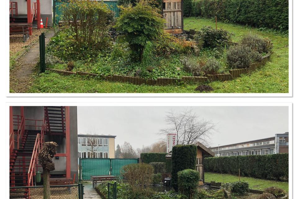 Eykenboom Tuinwerken