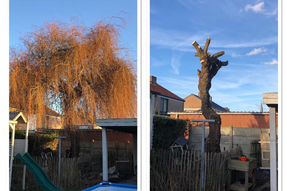 Eykenboom Tuinwerken