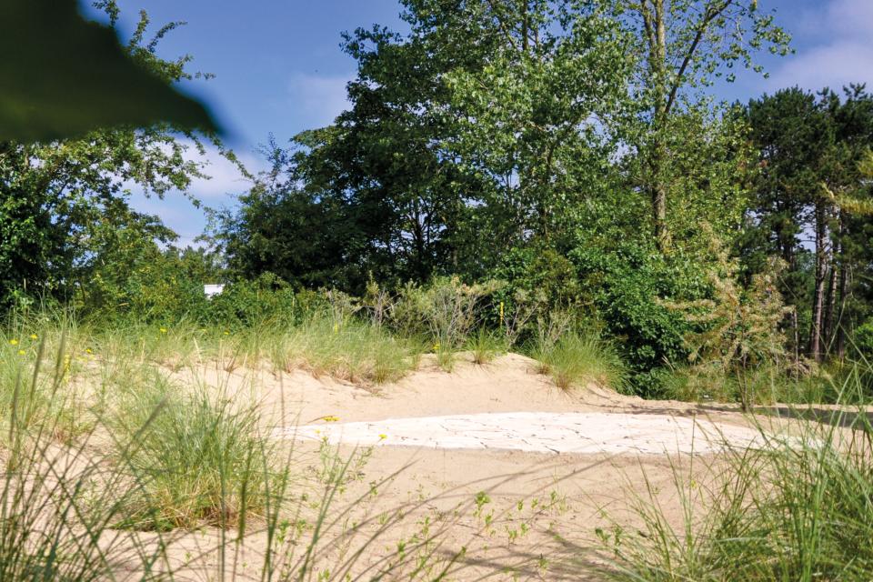 Ontwerp en aanlag van tuin te Nieuwpoort
