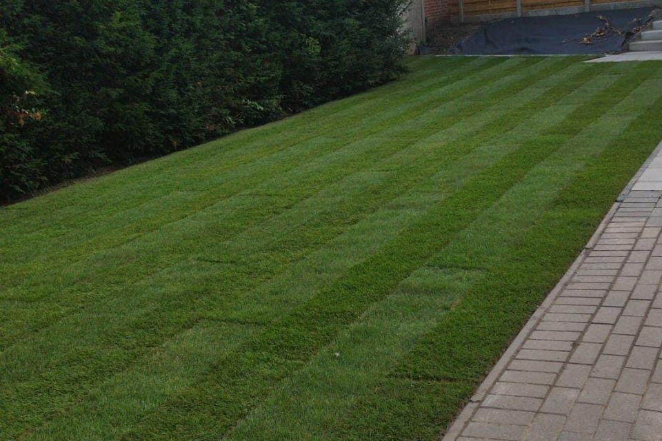 Gazon aanleg (grasmatten) 