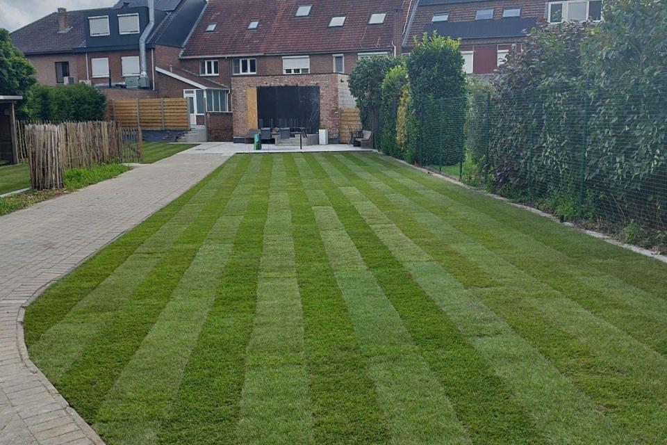 Gazon aanleg (grasmatten) 