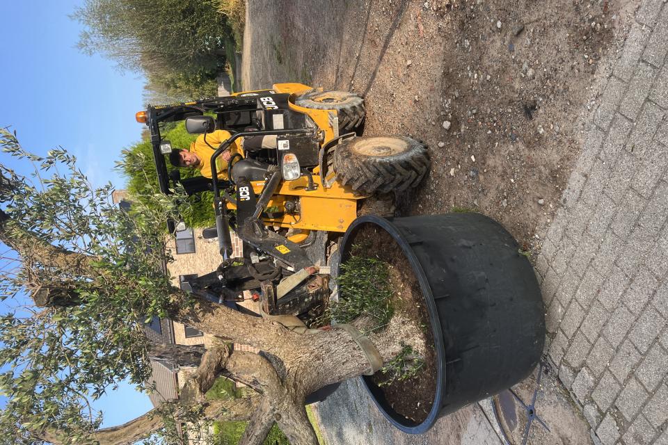 Geeroms Tuinwerken bv