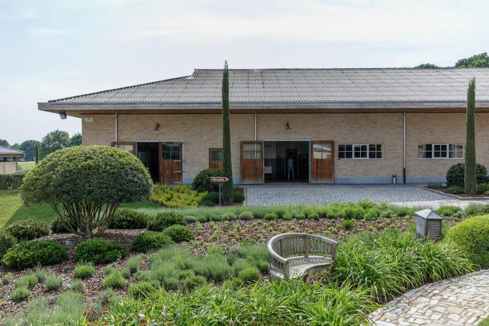 Binnentuin revalidatiecentrum paardenkliniek Equitom in Meldert