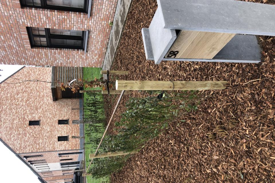 Groendecor Tuinarchitectuur