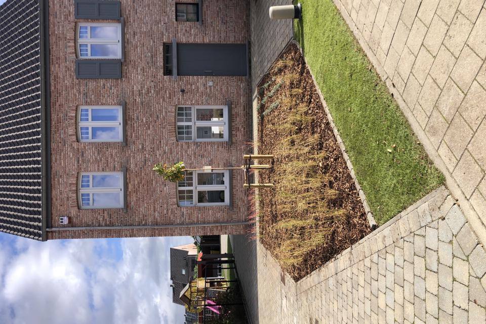 Groendecor Tuinarchitectuur