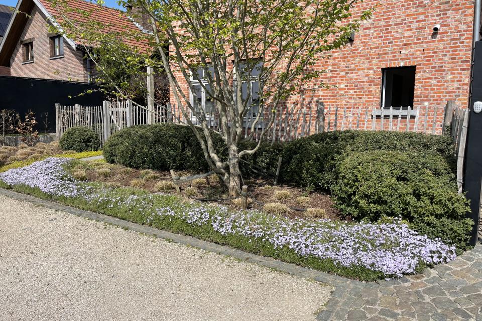Aanleg voortuin