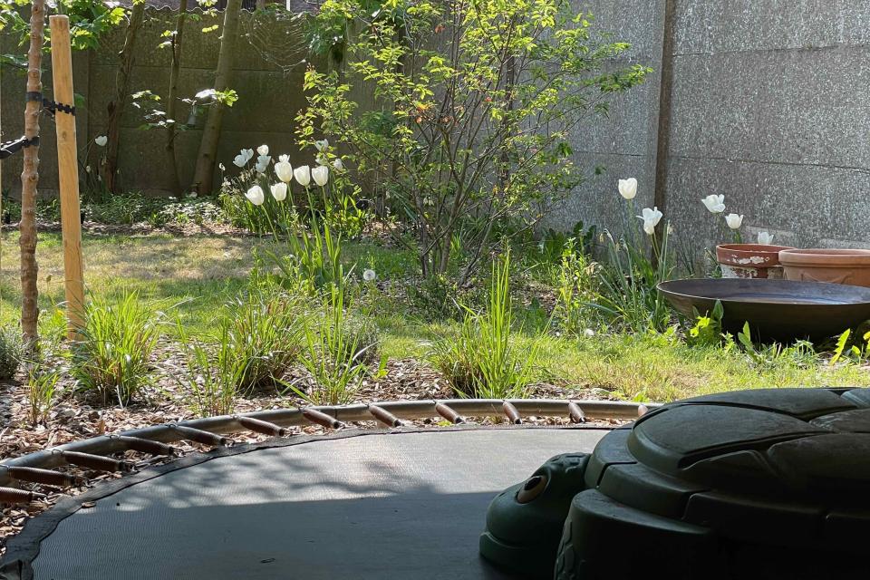 Aanleg biodiverse, grotendeels eetbare tuin