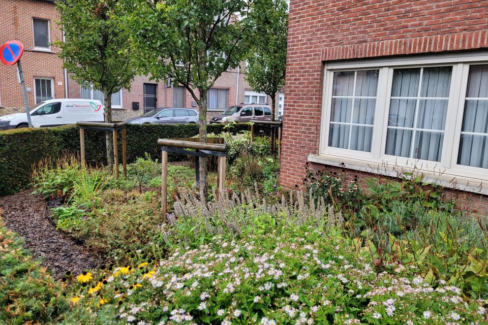 Voortuin met vaste planten