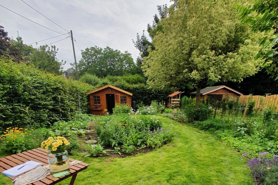 Tuin Zwijndrecht - 8 maanden na aanleg