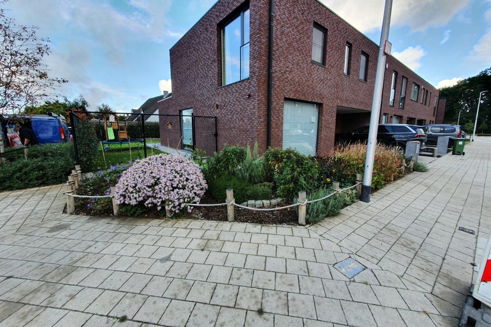 Voortuin - 10 maanden na aanleg