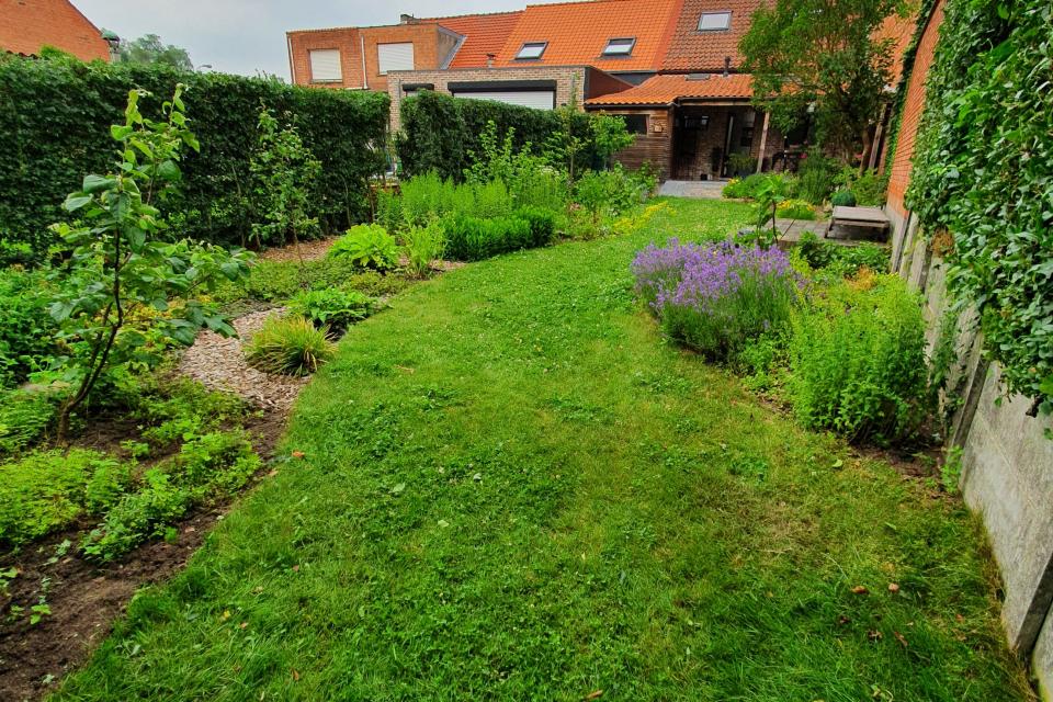Tuin Duffel - +-18 maanden na aanleg 