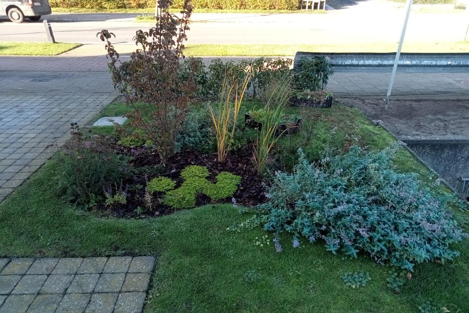 Medische tuinen 