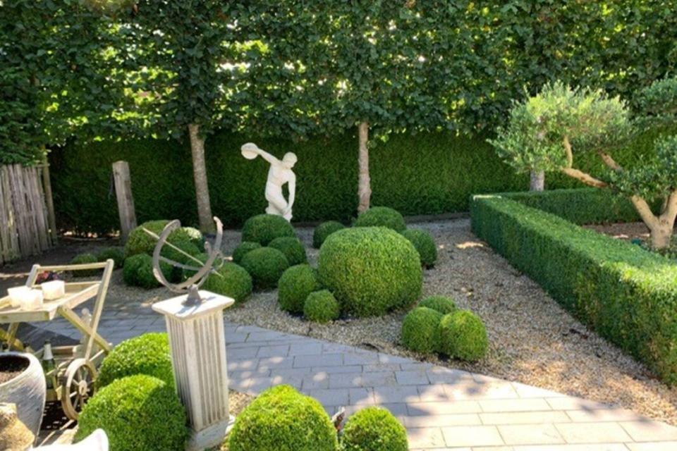 Buxus en haag in vorm scheren