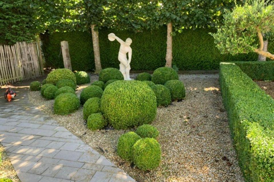 Buxus en haag in vorm scheren