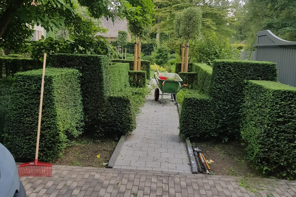 Het Groen Effect