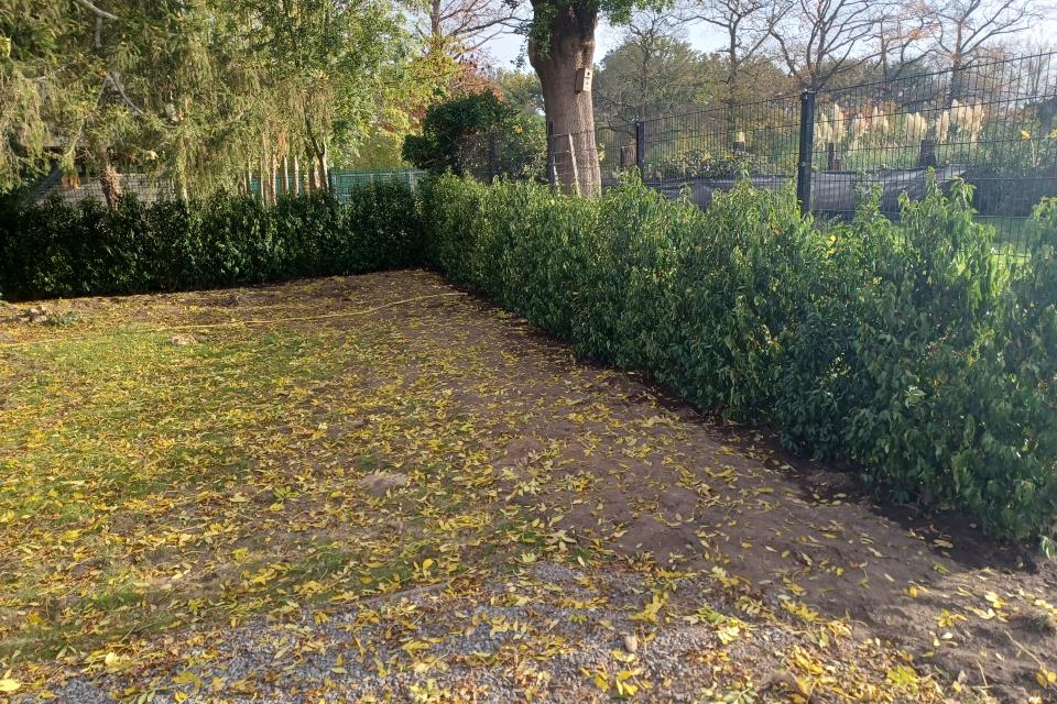 aanleg, haag en omheining