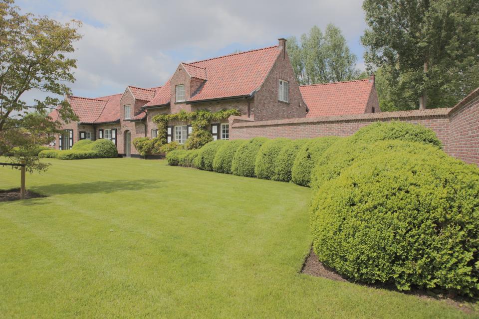 aanleg tuin gazon Jan Belaen