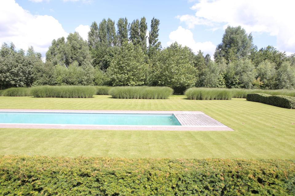 aanleg zwembad tuin
