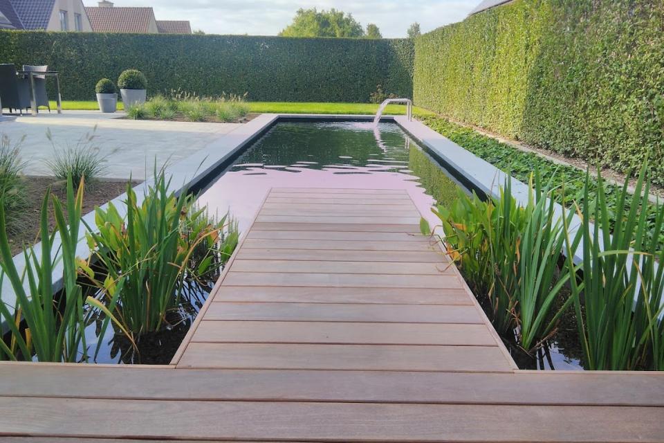 zwemvijver - zwempartij - water in de tuin mogelijkheden
