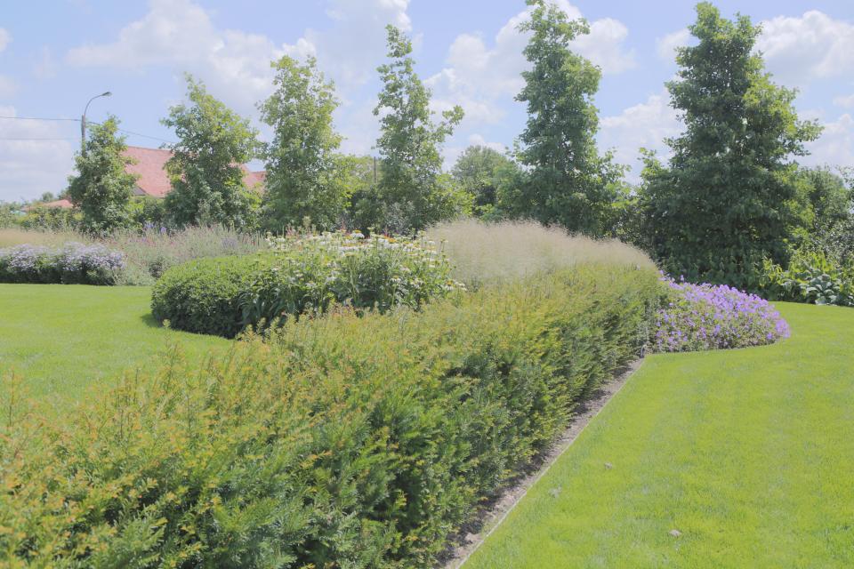 voorbeeld aanplanting