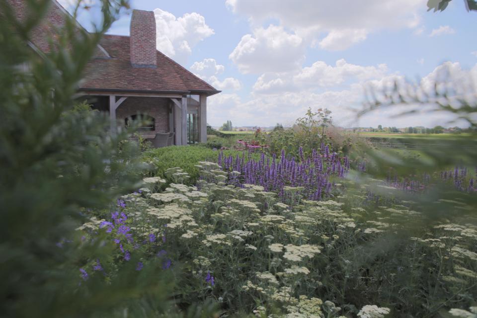 voorbeeld aanplanting