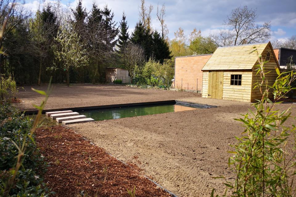 Totaal project uit ontwerp: grondwerken, zwemvijver, Garden house, gazon, aanplantingen en verlichting
