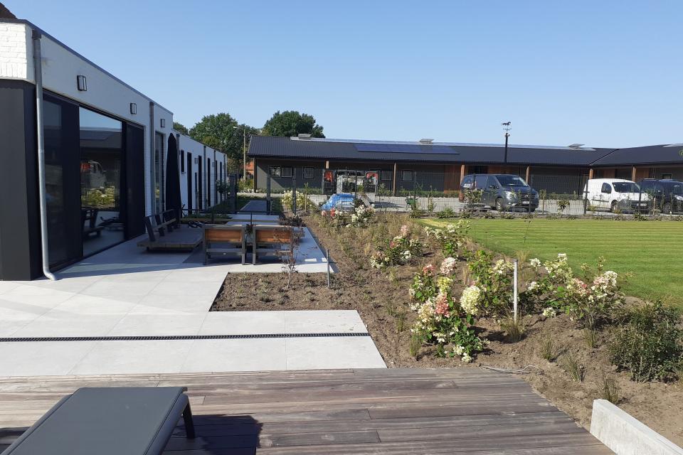 Aanplanting