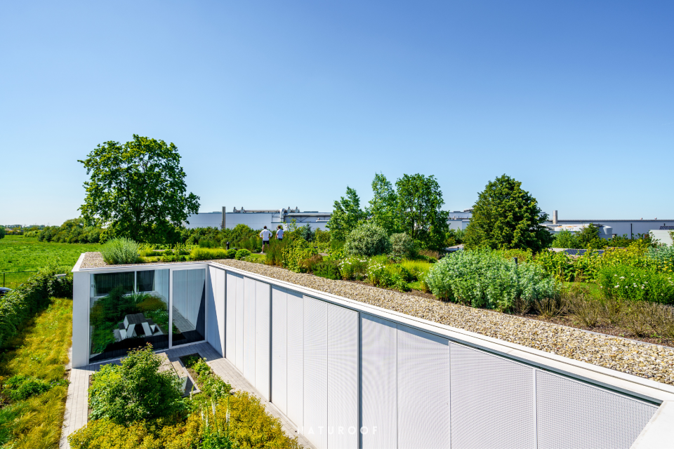 Intensieve daktuin met gazon, vaste planten en grindstroken in Roeselare