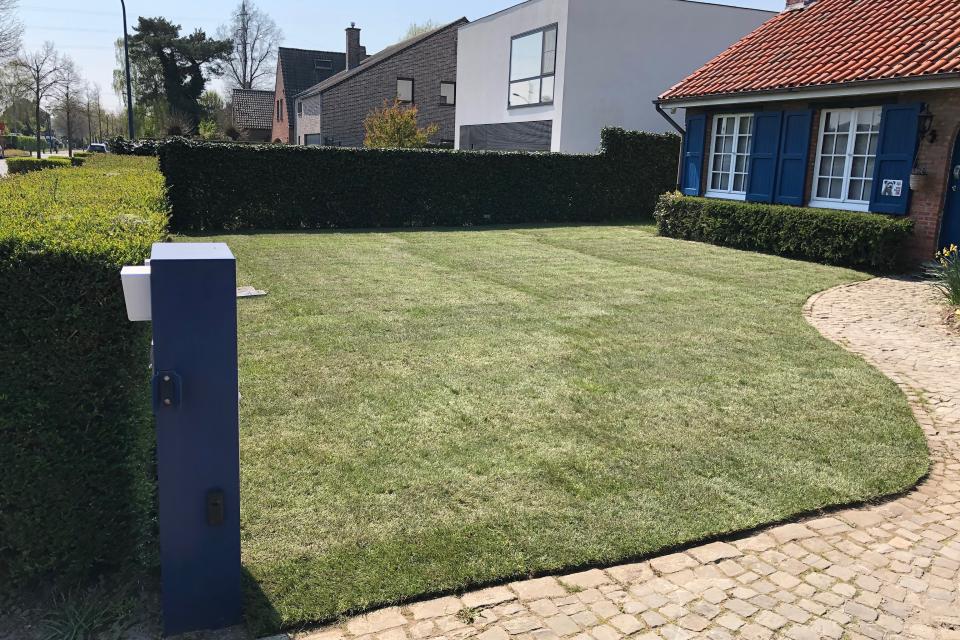 aanleg grasmatten
