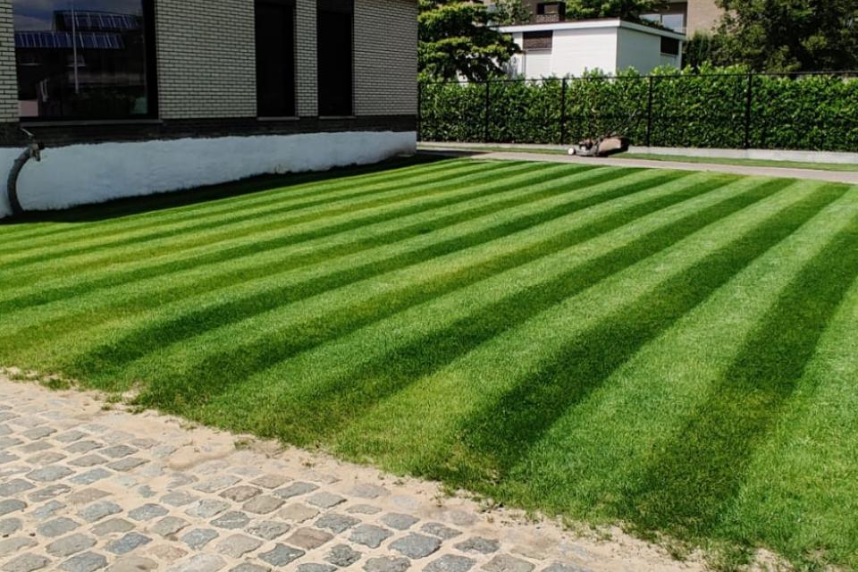 Park- en Bosbouw Lemey