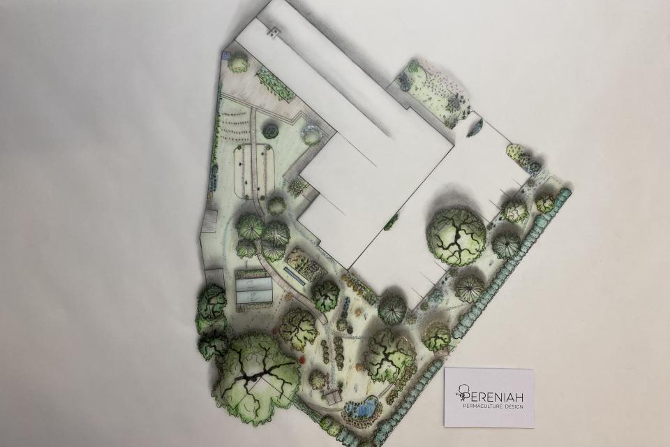 Permacultuur tuin